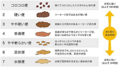 水便原因|【医師が解説】下痢が水っぽいのは何かの病気？対処。